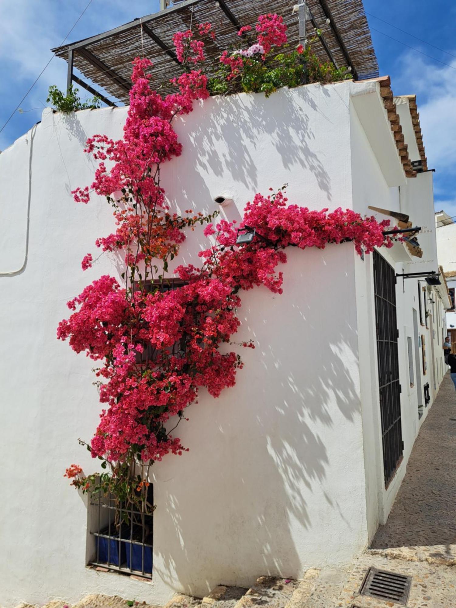 Atico Roof Top Torrevieja Exterior foto