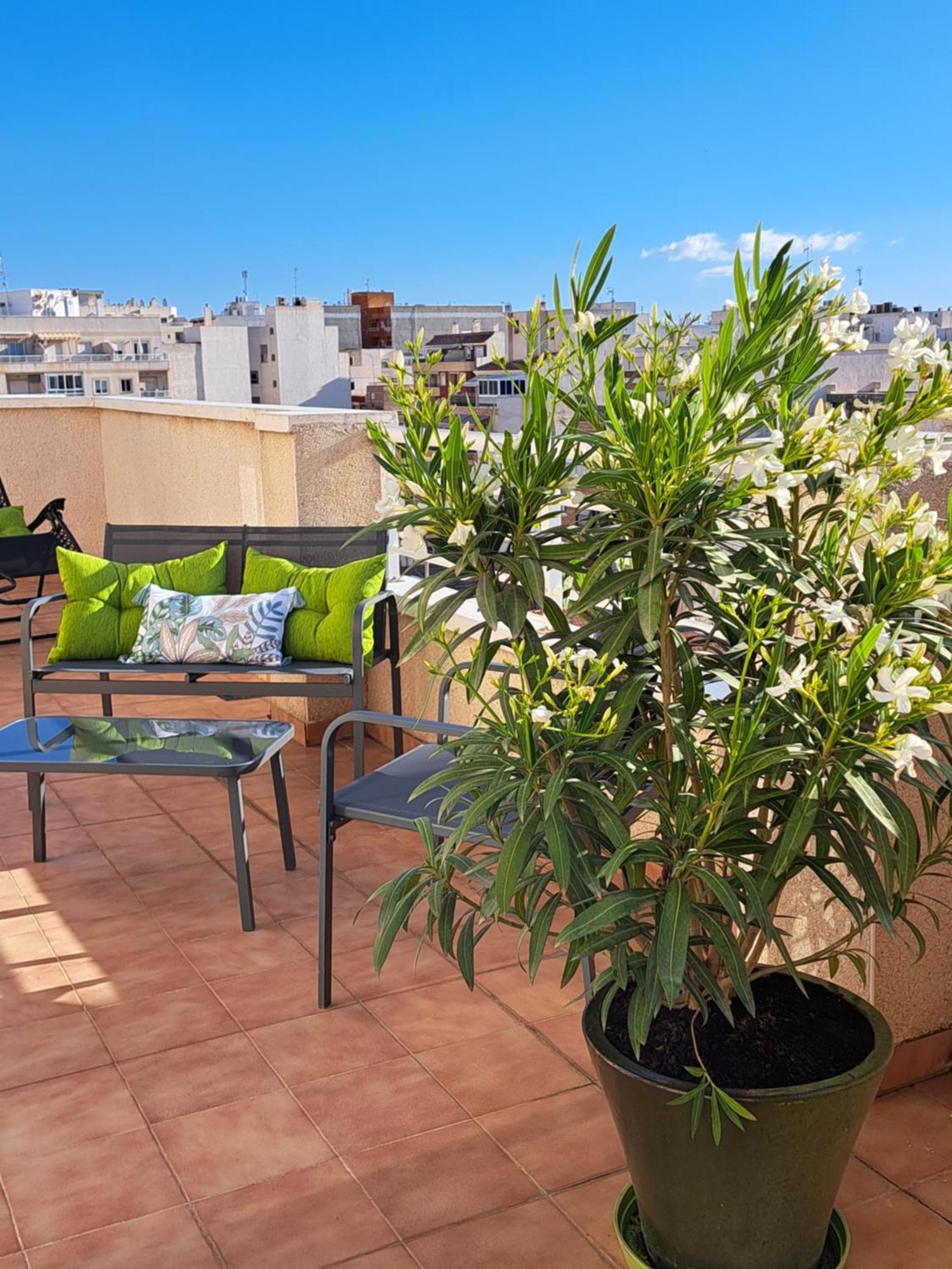 Atico Roof Top Torrevieja Exterior foto
